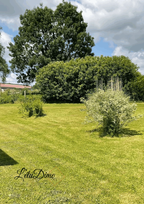 Maison familiale avec piscine – Image 3
