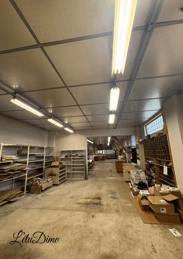 Vente interactive - Bâtiment commercial à saisir – Image 12