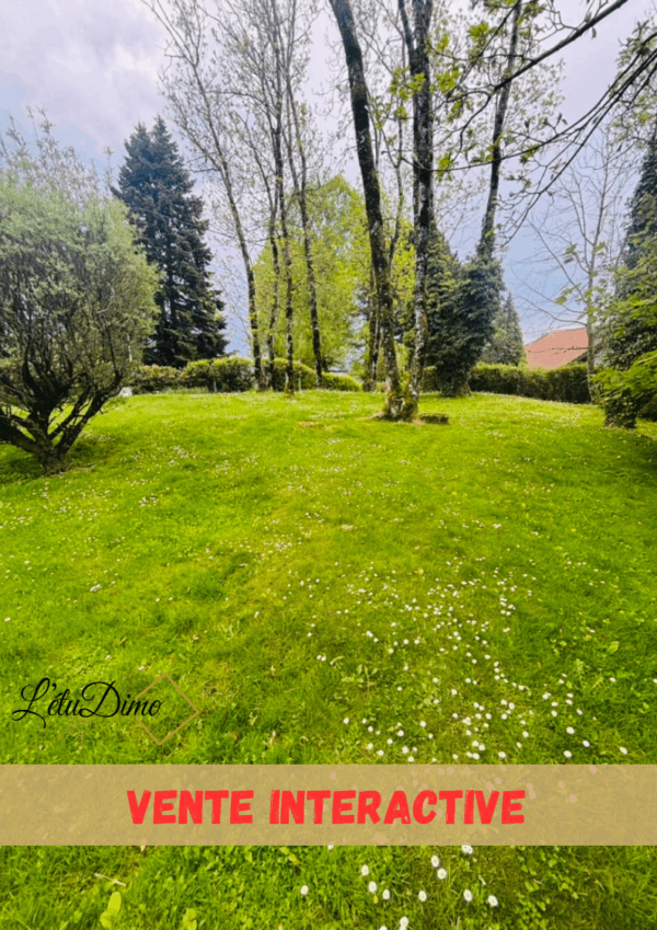 VENTE INTERACTIVE - Maison d'architecte avec parc sans vis à vis – Image 6