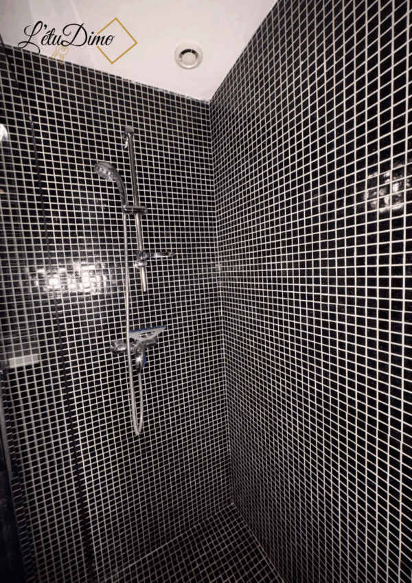 Appartement 1 pièce de 30 m3 au centre ville de Poligny – Image 7