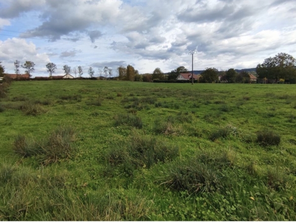 Terrain à bâtir proche de Poligny - À SAISIR